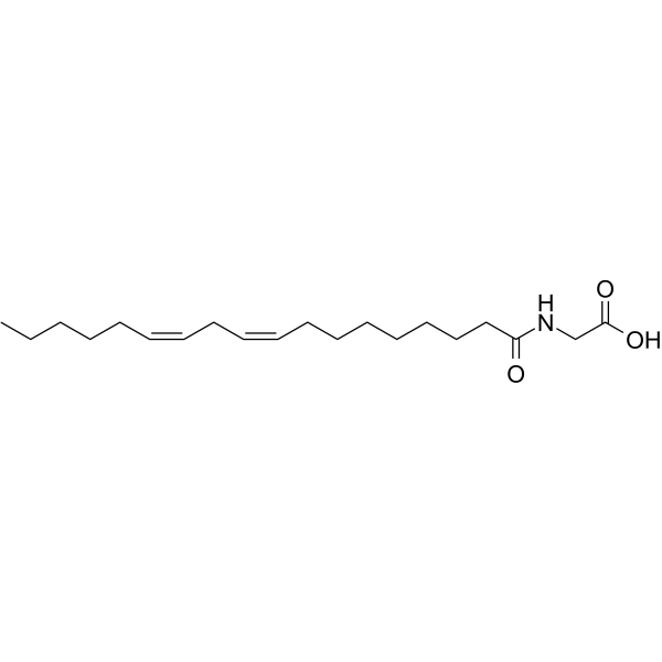 Linoleoyl glycine 2764-03-6